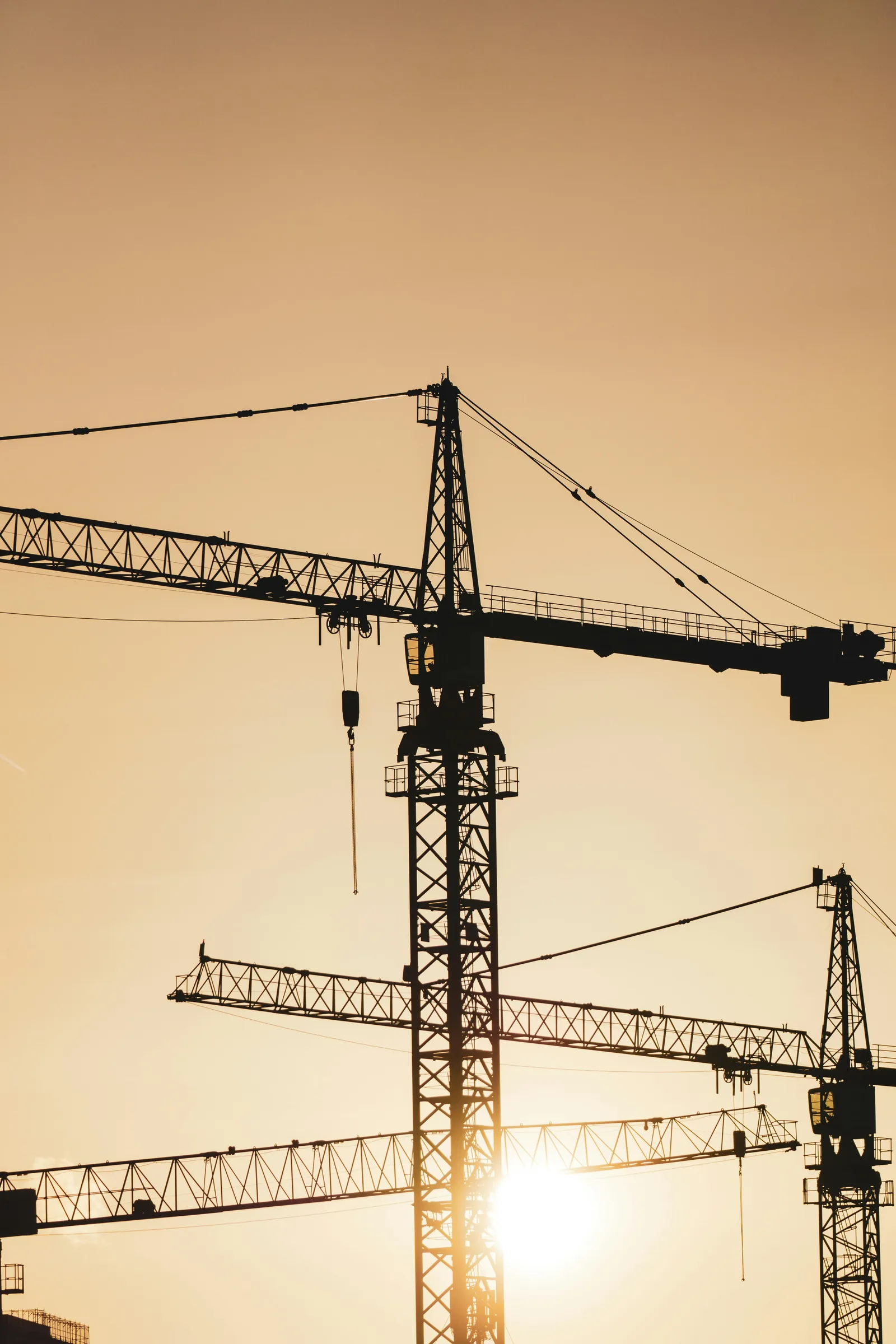 Grues de chantier au coucher du soleil